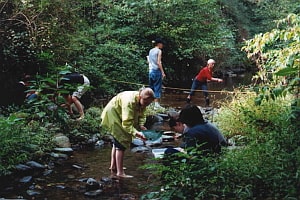 Ecology field studies