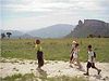 Field studies image