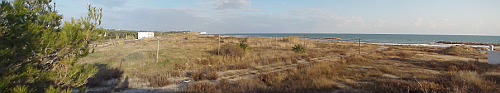 Platja Llarga, Vilanova Barcelona (February
2008)