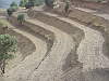 Environmental impact