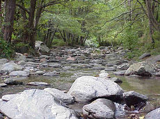 River Tordera, Montseny Natural Park