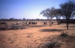 Photo credits. Sue White, Richard Wooldridge, Adam Dickinson, Dennis Holmes